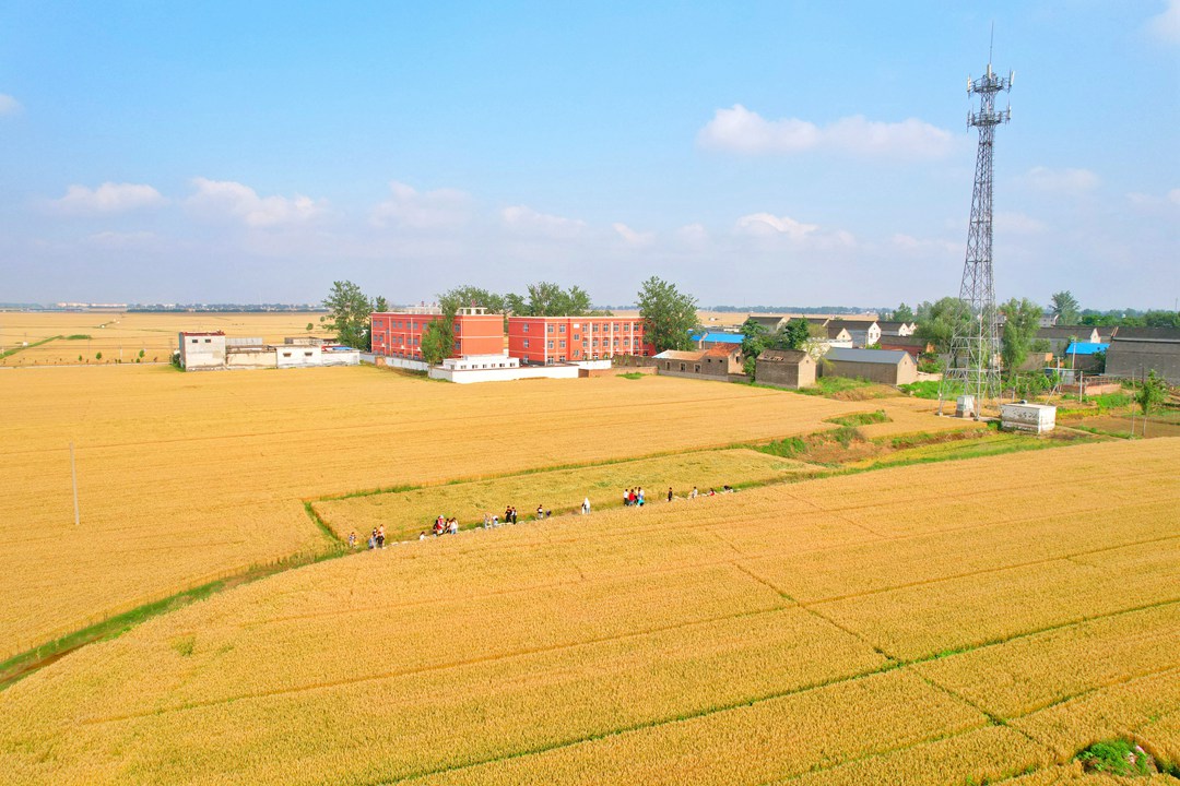 dji_fly_20230530_162202_9_1685435736151_photo-01.jpg